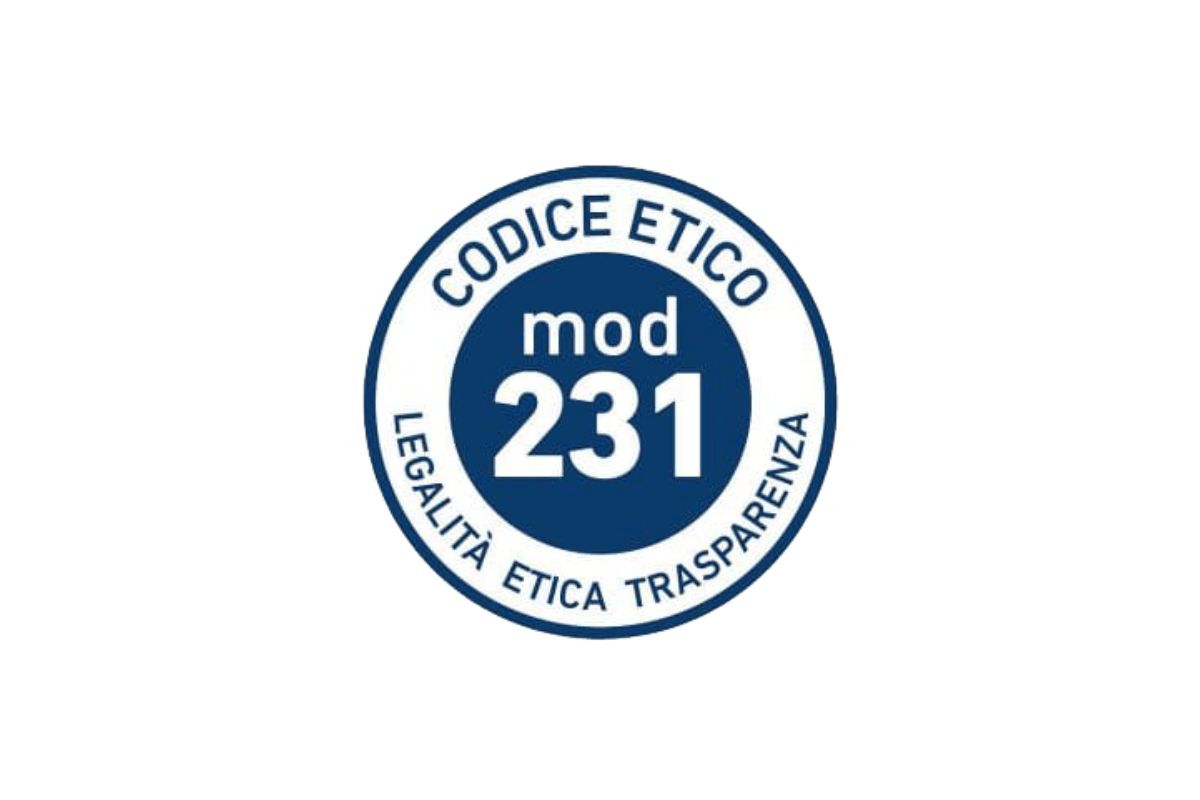 Modelo Organizacional 231 1